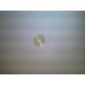 Kohler Washer Flat 5 5 Mm M-531010-S